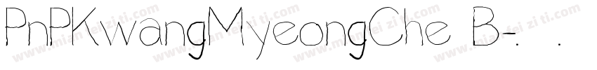 PnPKwangMyeongChe B字体转换